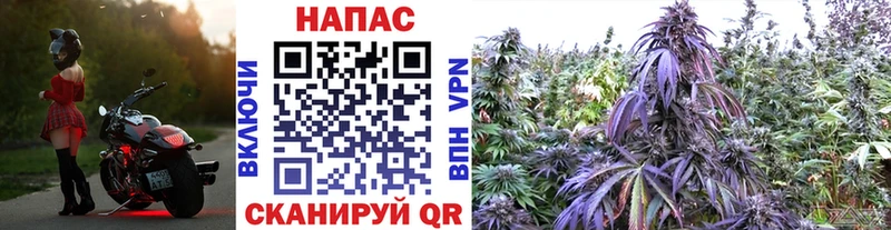 Какие есть наркотики Осташков А ПВП Псилоцибиновые грибы Амфетамин COCAIN Марихуана Гашиш
