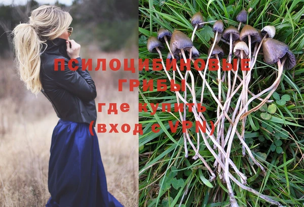 а пвп мука Алзамай