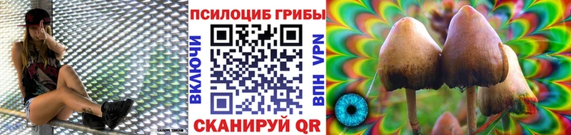Псилоцибиновые грибы прущие грибы  ссылка на мегу рабочий сайт  Осташков 